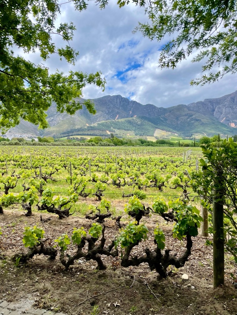 Vindistriktet i S&oslash;r-Afrika