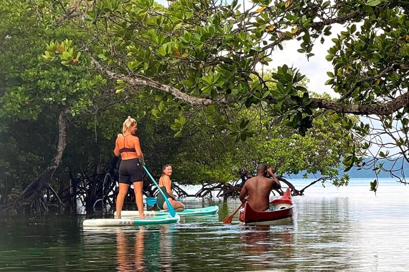 SUP i mangroveskogen i Mida Creek