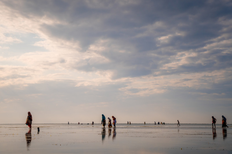 Revtur p&aring; Zanzibar ved lavvann