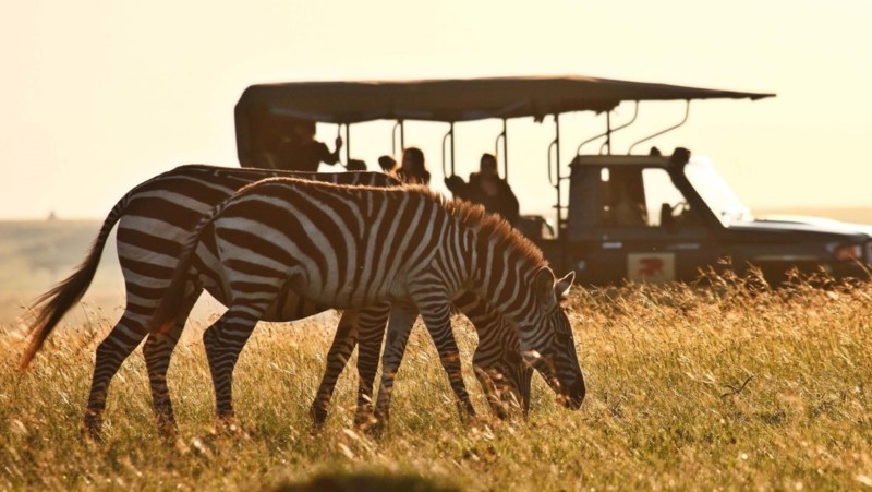 Pakkeliste safari